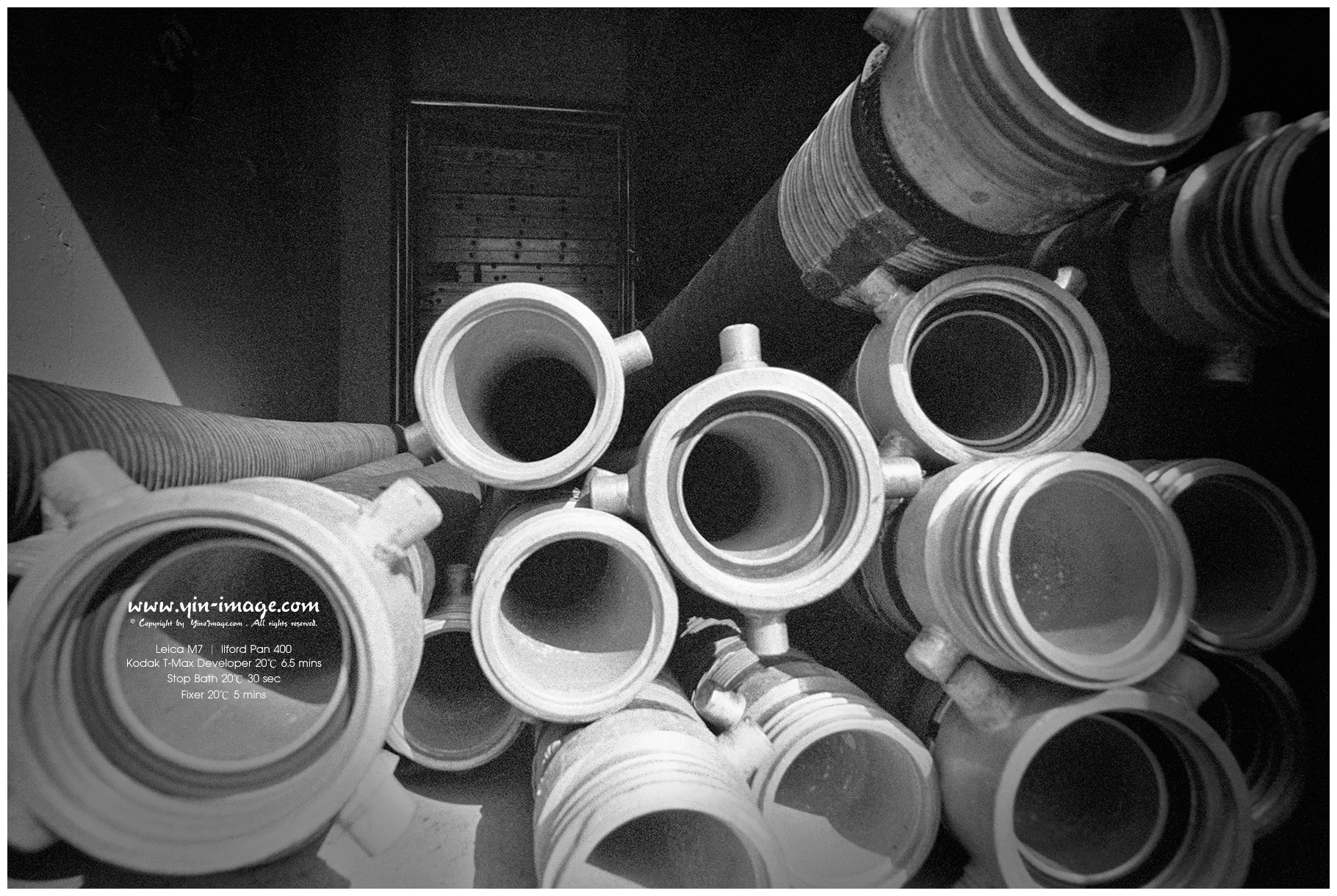 Ilford 400 08 05.06.2015